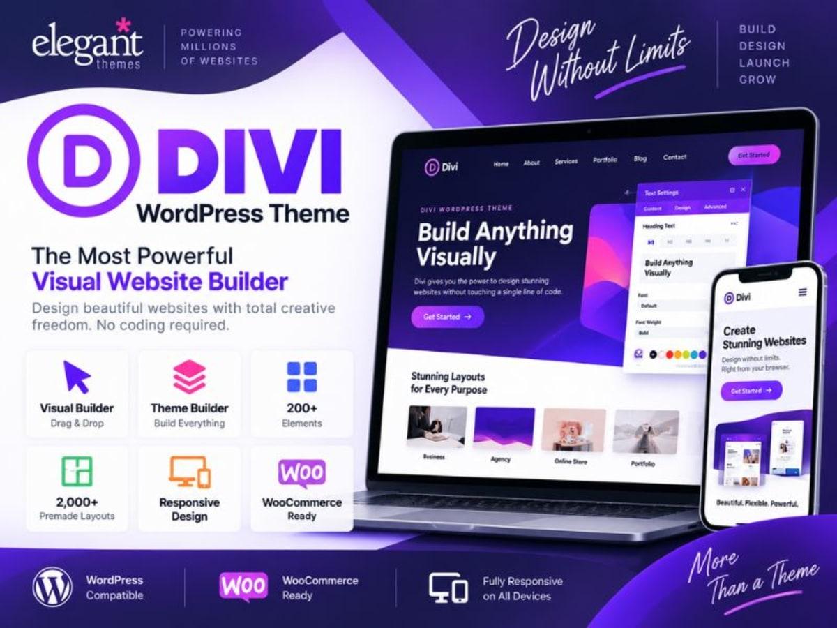 Divi Wordpress Theme with API Key